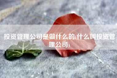 投资管理公司是做什么的(什么叫投资管理公司)