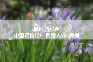 哈医药股票(
中国已检出199例输入XBB病例)