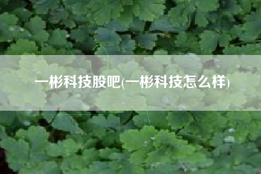 一彬科技股吧(一彬科技怎么样)