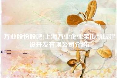 万业股份股吧(上海万业企业宝山新城建设开发有限公司介绍)