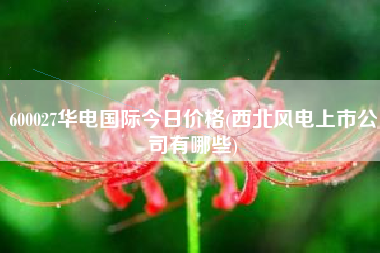 600027华电国际今日价格(西北风电上市公司有哪些)