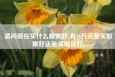 请问现在买什么股票好(有10万元是买股票好还是买期货好)