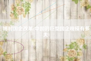 博时国企改革(中国的巨型国企规模有多大)