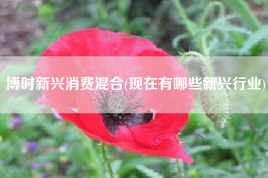 博时新兴消费混合(现在有哪些新兴行业)