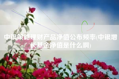 详细阅读:中银策略理财产品净值公布频率(中银增长基金净值是什么啊) 中银策略理财产品净值公布频率(中银增长基金净值是什么啊)