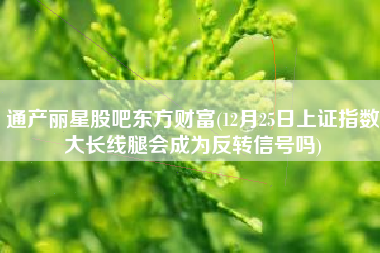 通产丽星股吧东方财富(12月25日上证指数大长线腿会成为反转信号吗)