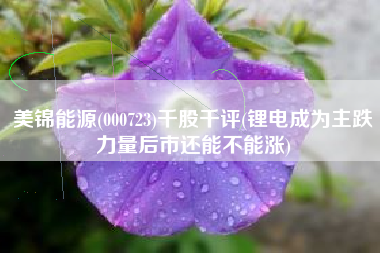 详细阅读:美锦能源(000723)千股千评(锂电成为主跌力量后市还能不能涨) 美锦能源(000723)千股千评(锂电成为主跌力量后市还能不能涨)