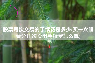 股票每次交易的手续费是多少(买一次股票分几次卖出手续费怎么算)