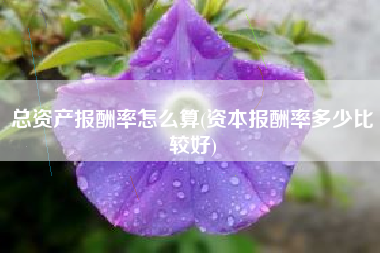 总资产报酬率怎么算(资本报酬率多少比较好)