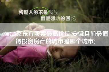 000725京东方股票最高价位(安徽目前最值得投资房产的城市是哪个城市)