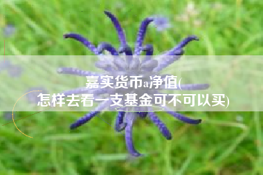 嘉实货币a净值(
怎样去看一支基金可不可以买)