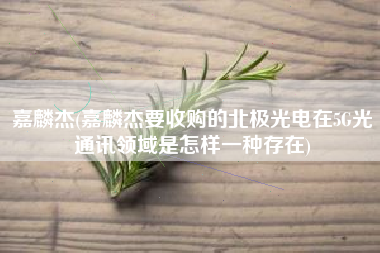 嘉麟杰(嘉麟杰要收购的北极光电在5G光通讯领域是怎样一种存在)