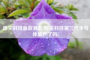 详细阅读:露笑科技最新消息(露笑科技第三代半导体量产了吗) 露笑科技最新消息(露笑科技第三代半导体量产了吗)