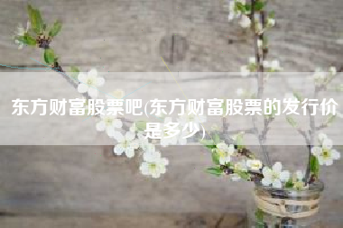 详细阅读:东方财富股票吧(东方财富股票的发行价是多少) 东方财富股票吧(东方财富股票的发行价是多少)