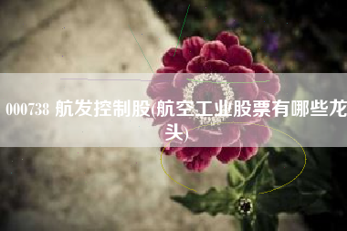 详细阅读:000738 航发控制股(航空工业股票有哪些龙头) 000738 航发控制股(航空工业股票有哪些龙头)