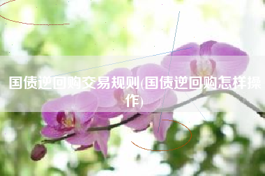 国债逆回购交易规则(国债逆回购怎样操作)