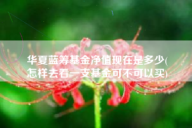 华夏蓝筹基金净值现在是多少(
怎样去看一支基金可不可以买)