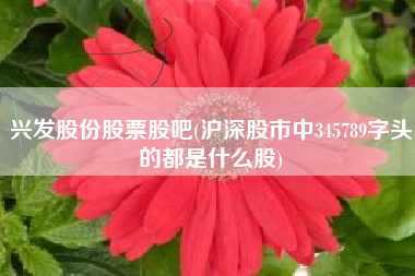 兴发股份股票股吧(沪深股市中345789字头的都是什么股)