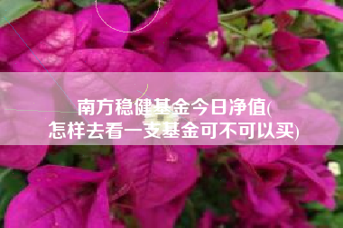 南方稳健基金今日净值(
怎样去看一支基金可不可以买)