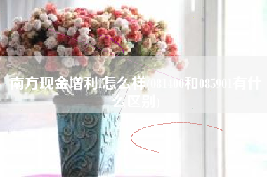 详细阅读:南方现金增利f怎么样(081400和085901有什么区别) 南方现金增利f怎么样(081400和085901有什么区别)