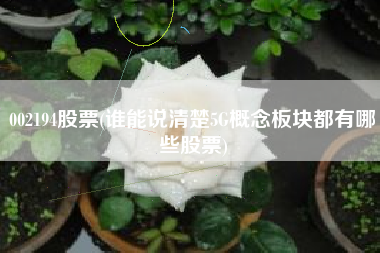 详细阅读:002194股票(谁能说清楚5G概念板块都有哪些股票) 002194股票(谁能说清楚5G概念板块都有哪些股票)