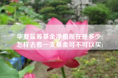 华夏蓝筹基金净值现在是多少(
怎样去看一支基金可不可以买)