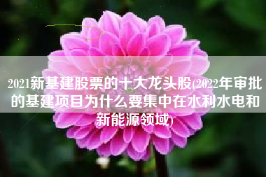2021新基建股票的十大龙头股(2022年审批的基建项目为什么要集中在水利水电和新能源领域)