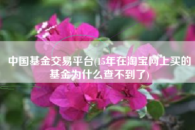 中国基金交易平台(15年在淘宝网上买的基金为什么查不到了)