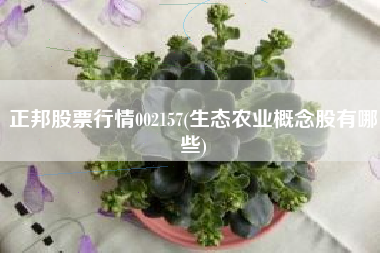 正邦股票行情002157(生态农业概念股有哪些)