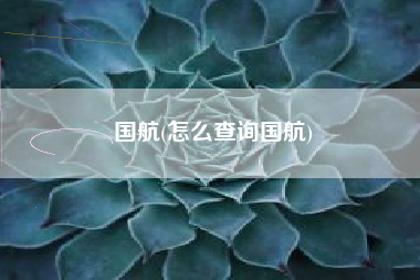 国航(怎么查询国航)