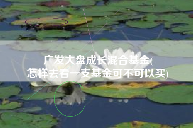 广发大盘成长混合基金(
怎样去看一支基金可不可以买) 广发大盘成长混合基金(
怎样去看一支基金可不可以买)