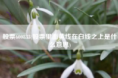 股票600833(股票里面黄线在白线之上是什么意思)