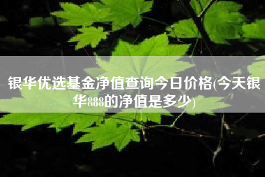 银华优选基金净值查询今日价格(今天银华888的净值是多少)