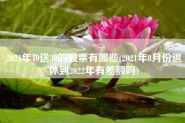 2021年10送30的股票有哪些(2021年8月份退休到2022年有差额吗)