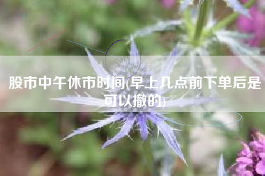股市中午休市时间(早上几点前下单后是可以撤的)