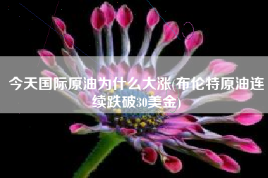 详细阅读:今天国际原油为什么大涨(布伦特原油连续跌破30美金) 今天国际原油为什么大涨(布伦特原油连续跌破30美金)