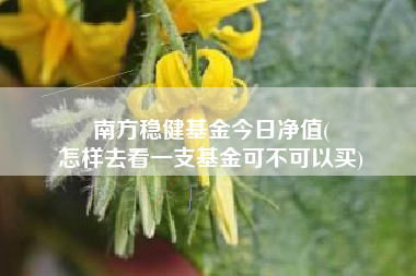 南方稳健基金今日净值(
怎样去看一支基金可不可以买)