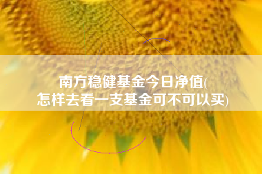 南方稳健基金今日净值(
怎样去看一支基金可不可以买)