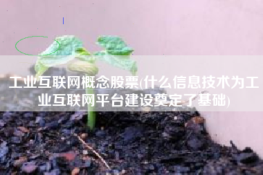 工业互联网概念股票(什么信息技术为工业互联网平台建设奠定了基础)