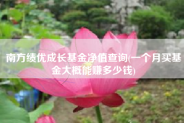 详细阅读:南方绩优成长基金净值查询(一个月买基金大概能赚多少钱) 南方绩优成长基金净值查询(一个月买基金大概能赚多少钱)