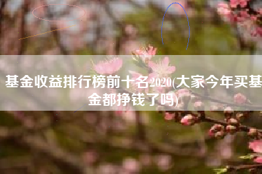 基金收益排行榜前十名2020(大家今年买基金都挣钱了吗)