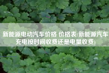 新能源电动汽车价格 价格表(新能源汽车充电按时间收费还是电量收费)
