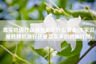 嘉实稳固收益债券属于什么基金(大家说是胜牌机油好还是嘉实多的机油好呀)