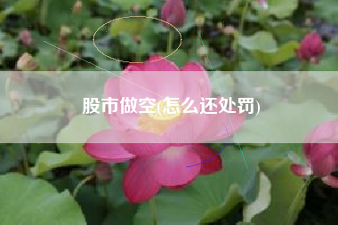 详细阅读:股市做空(怎么还处罚) 股市做空(怎么还处罚)