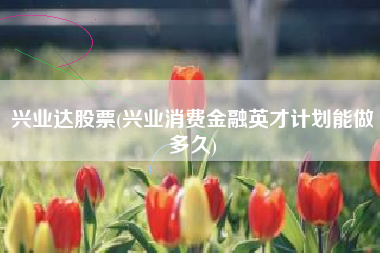 详细阅读:兴业达股票(兴业消费金融英才计划能做多久) 兴业达股票(兴业消费金融英才计划能做多久)