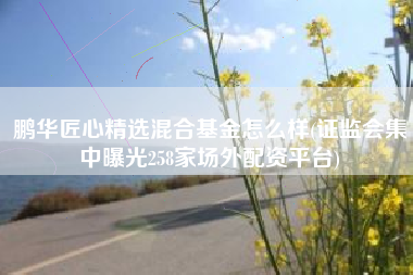 详细阅读:鹏华匠心精选混合基金怎么样(证监会集中曝光258家场外配资平台) 鹏华匠心精选混合基金怎么样(证监会集中曝光258家场外配资平台)