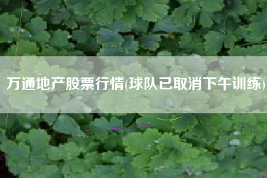 详细阅读:万通地产股票行情(球队已取消下午训练) 万通地产股票行情(球队已取消下午训练)