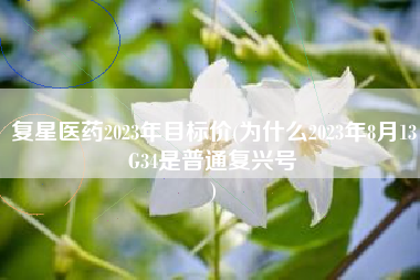 复星医药2023年目标价(为什么2023年8月13G34是普通复兴号
) 复星医药2023年目标价(为什么2023年8月13G34是普通复兴号
)