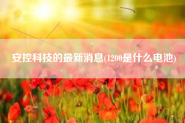 详细阅读:安控科技的最新消息(1200是什么电池) 安控科技的最新消息(1200是什么电池)