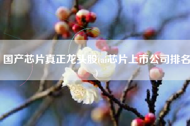 详细阅读:国产芯片真正龙头股(ai芯片上市公司排名) 国产芯片真正龙头股(ai芯片上市公司排名)
